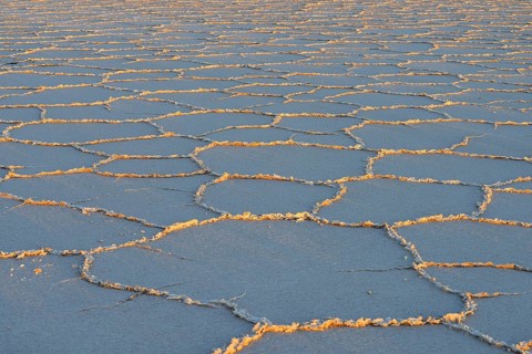 Honeycomb structure on the salt lake at sunrise