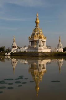 Pond with Lotus (Nelumbo) in front of Maha Rattana Chedi of Wat Thung Setthi