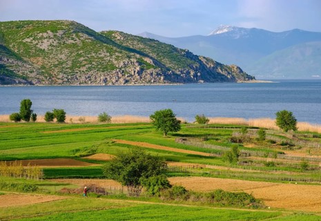 Great Lake Prespa