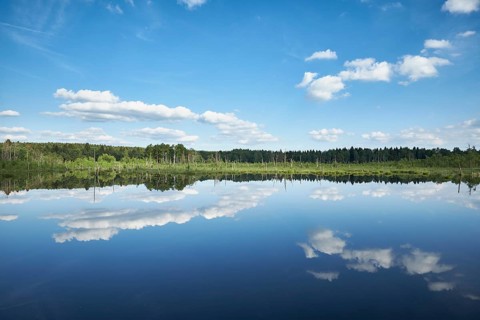 View over the Regenmoor marshland and Neckar origin Schwenninger Moos