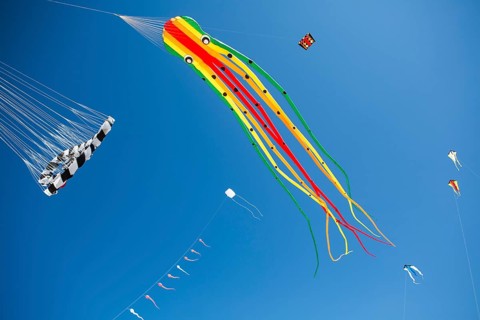 Various kites