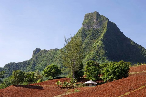 Agricultural land