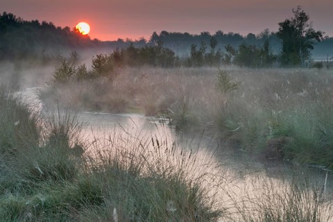 Sunrise in the moor