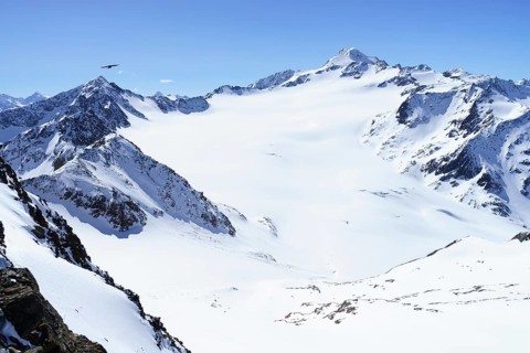 Wildspitze with Mittelbergferner in winter