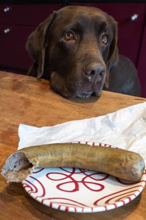 Labrador looks at a plate with liverwurst