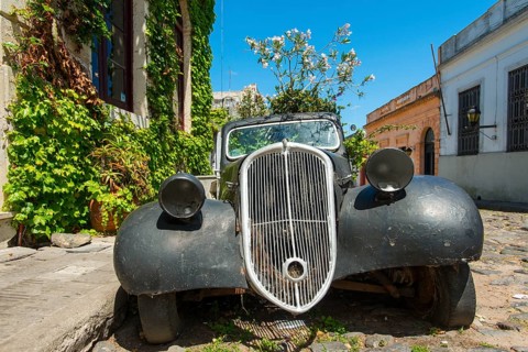 Car wreck of an oldtimer overgrown with flowering plants