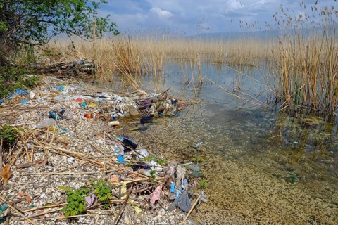 Waste washed up on the lake shore