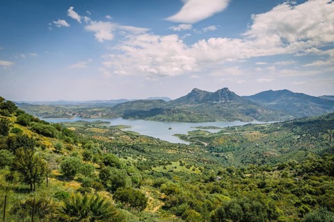 Green landscape with reservoir Zahara-El Gastor Reservoir