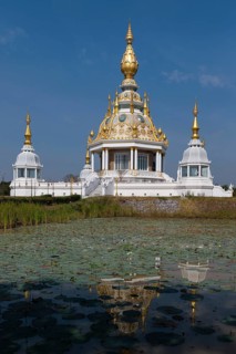 Pond with Lotus (Nelumbo) in front of Maha Rattana Chedi of Wat Thung Setthi