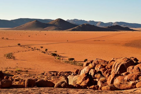 Desert Landscape