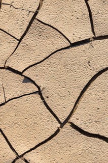 Drying cracks in clay soil