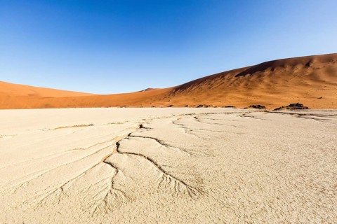 Water veins in the dry soil