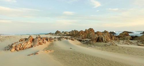 Rocky Beach Muffels Bay