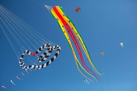 Kites in front of blue skies on the beach