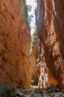Gorge