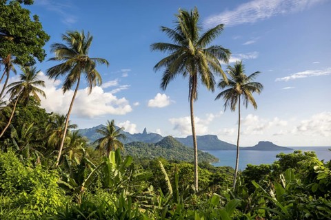 Wooded mountain landscape with palm trees and banana plants on the coast