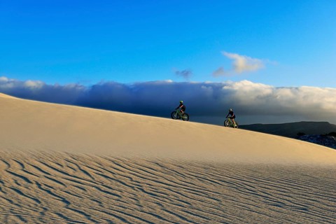Cycling tour with fatbikes at Die Plaat Beach