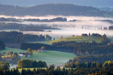 Hilly landscape with morning fog