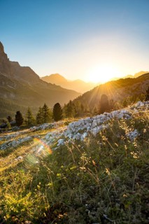 Sunrise in front of mountain silhouette with mountain meadow