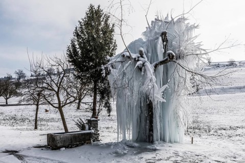 Frozen tree with long icicles
