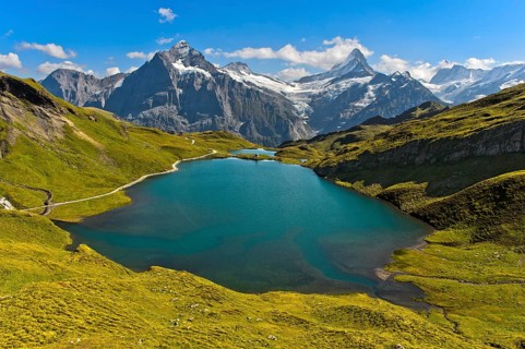 Alpine landscape with lake Bachalpsee and the summit Wetterhorn