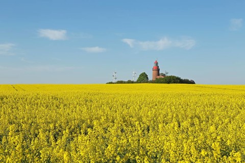 Lighthouse Buk with flowering rape field