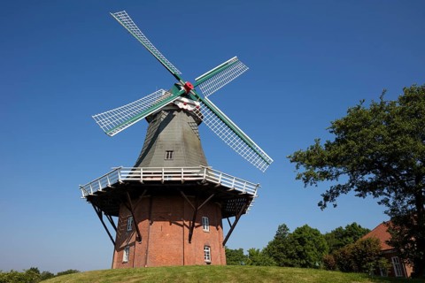 Gallery Dutchman
