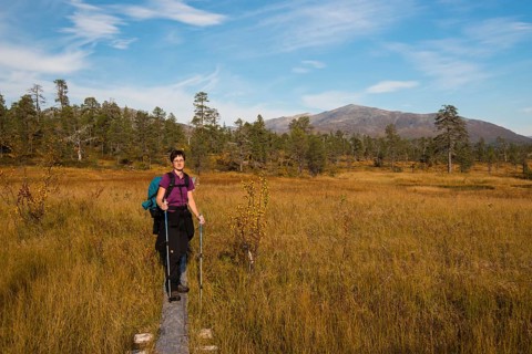 Female hiker on wooden planks