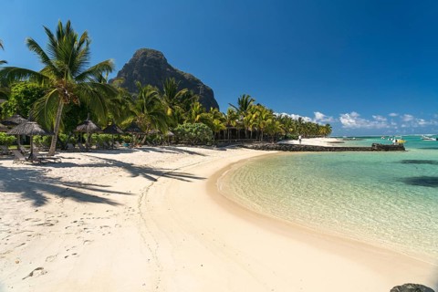 Beach with palm trees