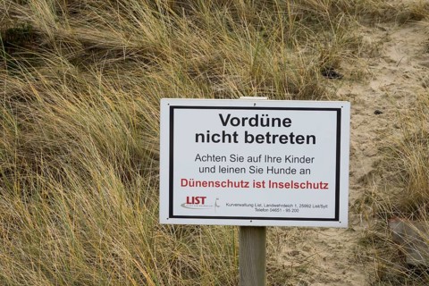 Primary dune at List
