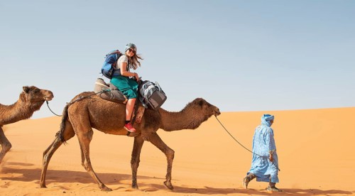 Tourist on a dromedaries with bedouin (Camelus dromedarius)