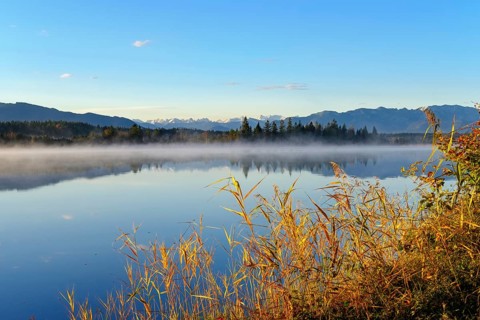 Morning mist at Kirchsee