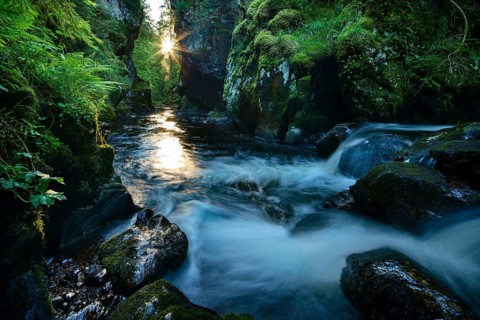 Haslach Gorge