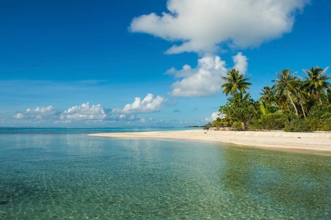 Palm fringed white sand beach in the turquoise waters of Tikehau