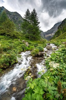 Steinriesenbach on the hiking trail to the Gollinghutte