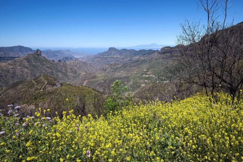 View from the Cruz de Tejeda into the Caldera de Tejeda