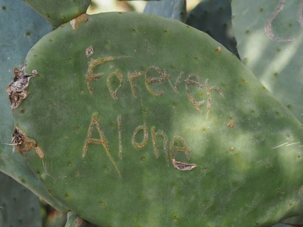 Inscription Forever Alone