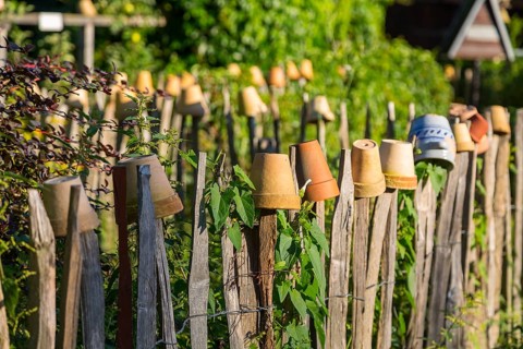 Paling fence decorated with flowerpots