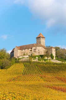Castle Lichtenberg