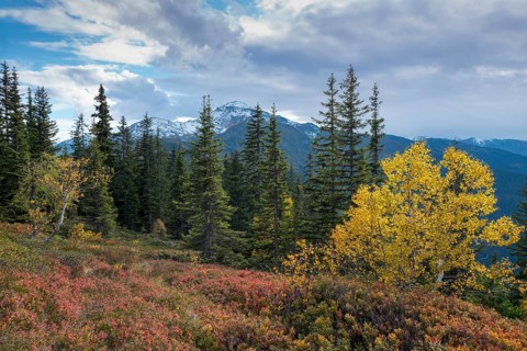 Naunz in autumn