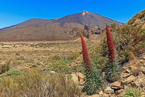 Volcano Pico del Teide