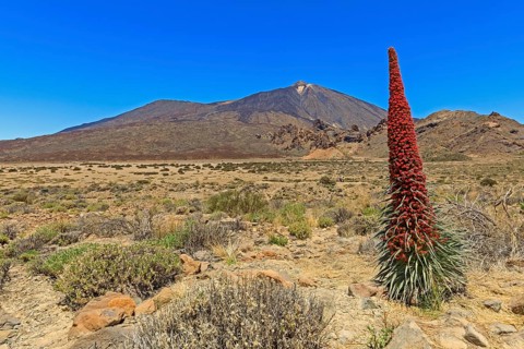 Volcano Pico del Teide