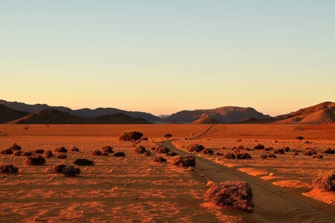 Sand track through the sandy desert