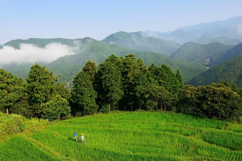Pilgrims on the Nakahechi Route