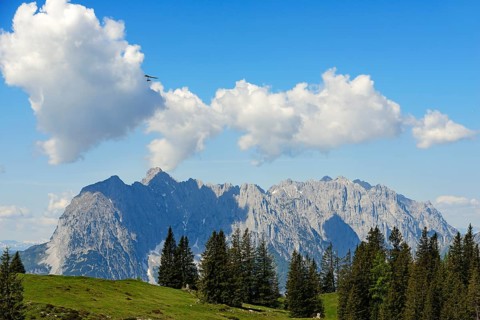 Hang gliders over the Eggenalm with view of the Wilder Kaiser (Tyrol