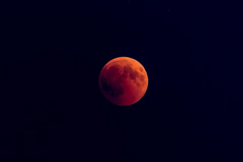Bloodmoon