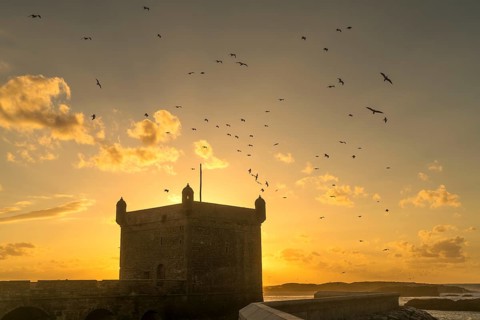 Sunset behind Scala du Port harbour tower with flying seagulls