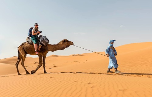 Tourist on a dromedaries with bedouin (Camelus dromedarius)