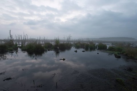 Theikenmeer nature reserve