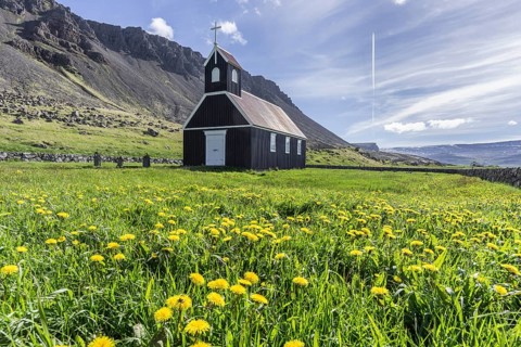 Small wooden church in Dandelion meadow
